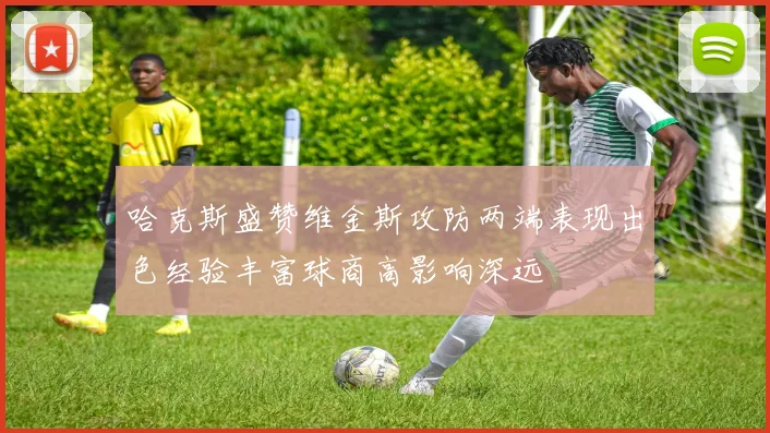 哈克斯盛赞维金斯攻防两端表现出色经验丰富球商高影响深远
