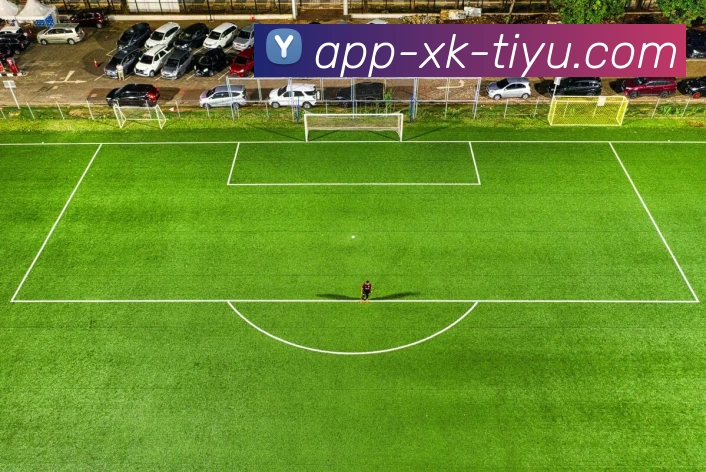 星空体育平台生态图