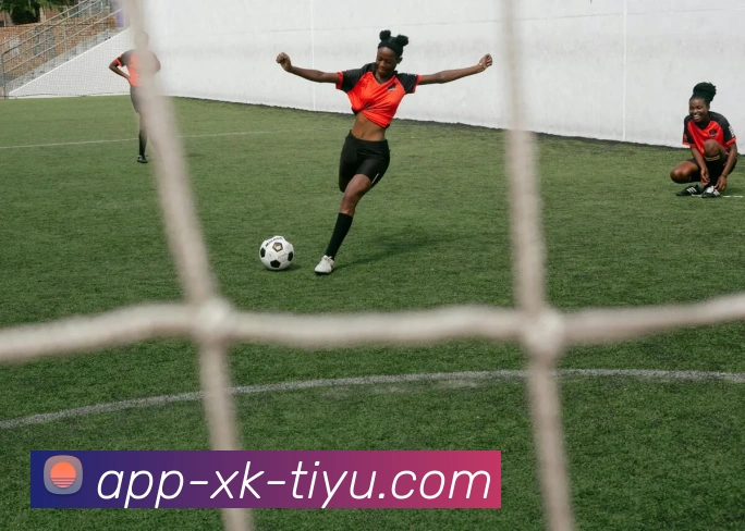 星空体育APP 封面图